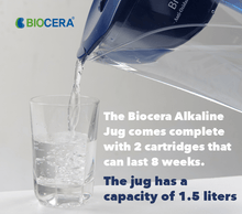 Biocera Antioxidant Alkaline Jug + Filter Set